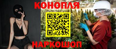 СК Новозыбков