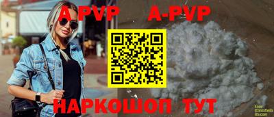 СК Новозыбков