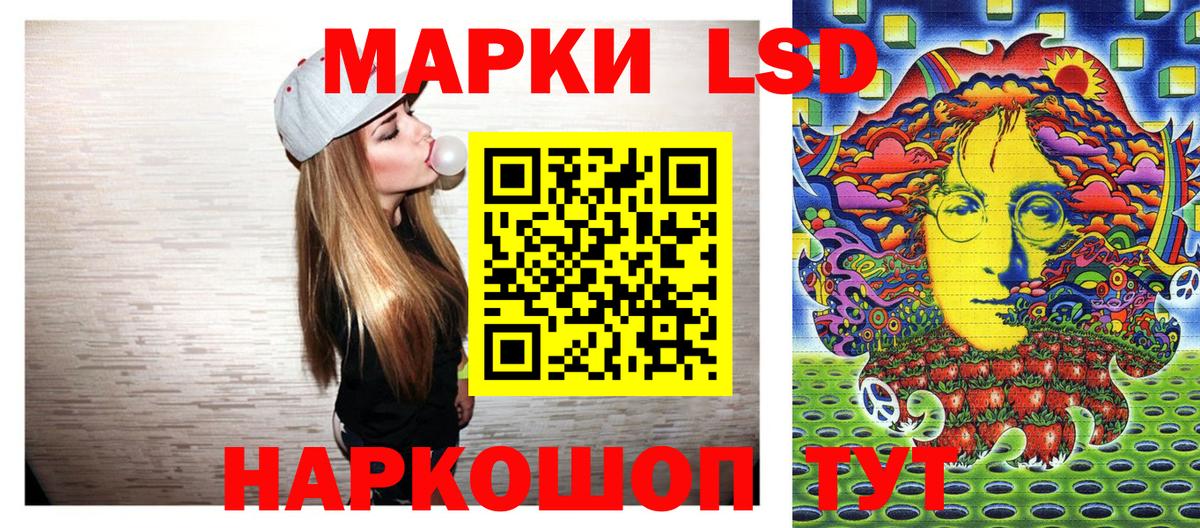 Альфа ПВП Армавир