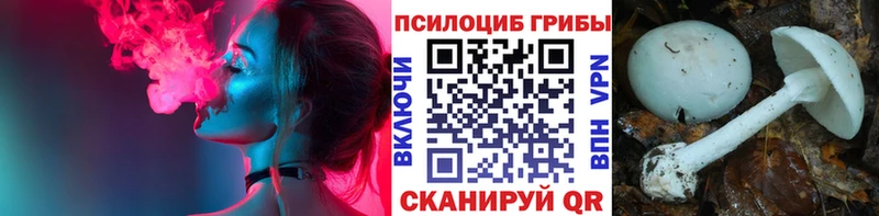 цены   Армавир  Псилоцибиновые грибы MAGIC MUSHROOMS 