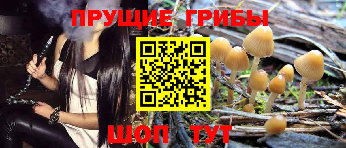 Галлюциногенные грибы Magic Shrooms Армавир