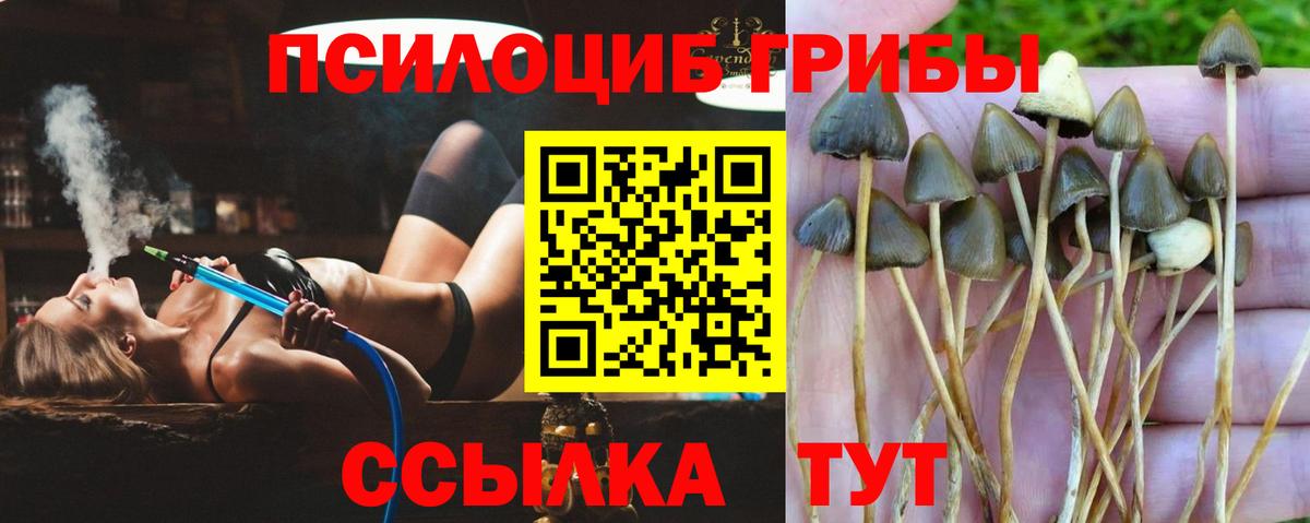 Армавир  Галлюциногенные грибы ЛСД  Вход с VPN 